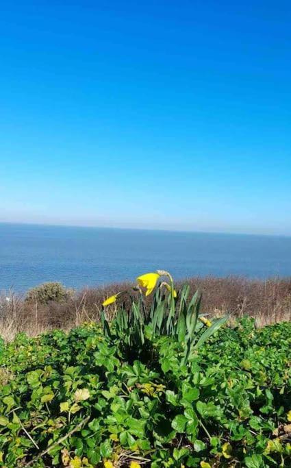 Herne Bay Central - 2 Minutes From Beach Apartment ภายนอก รูปภาพ